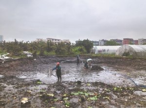 赤峰河道鱼塘清淤